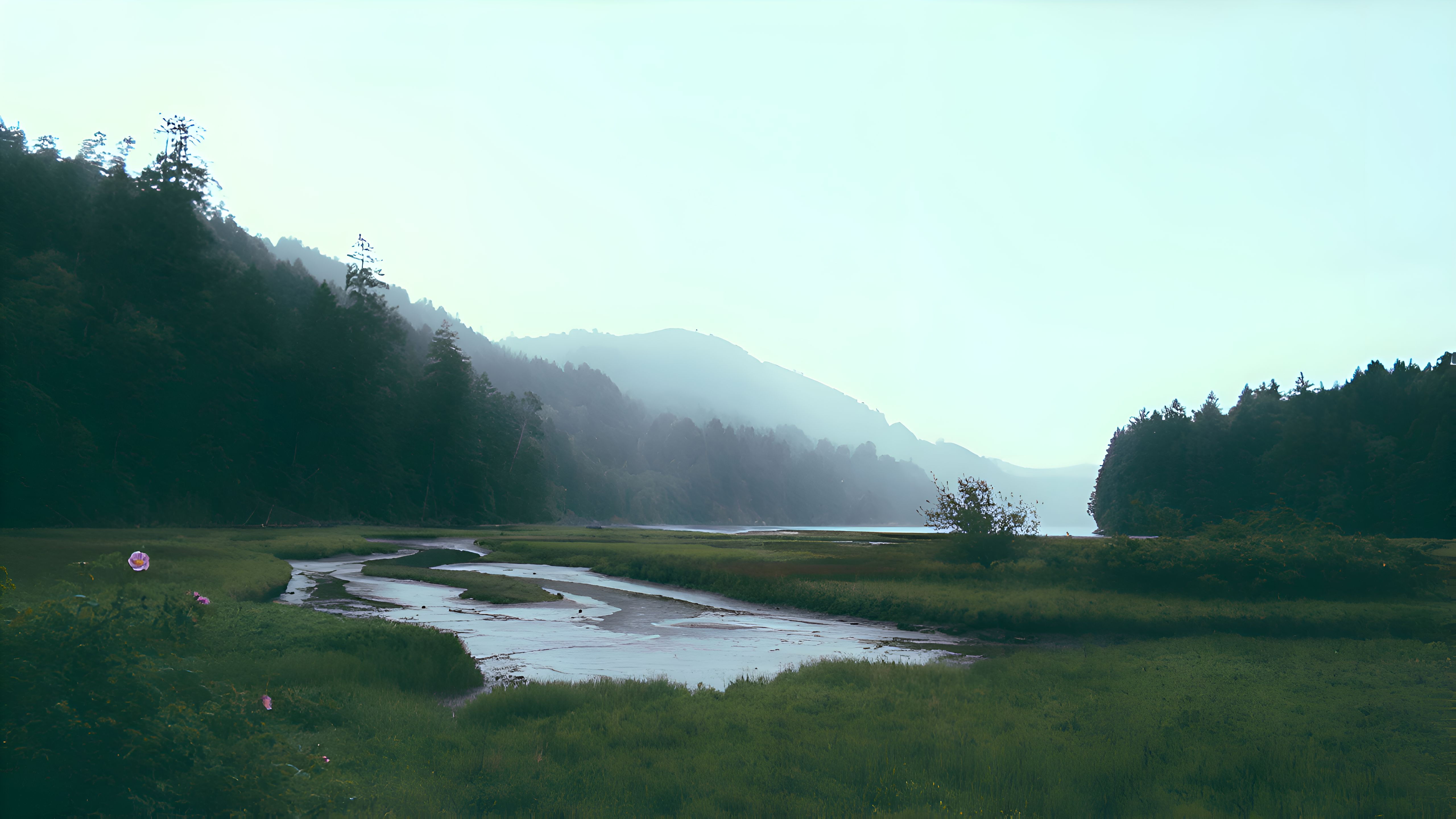 Nature